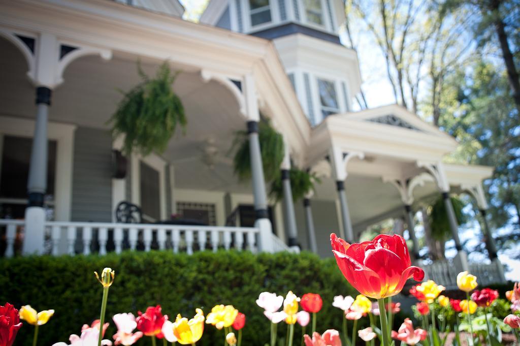 Biltmore Village Inn B&B Asheville Kültér fotó