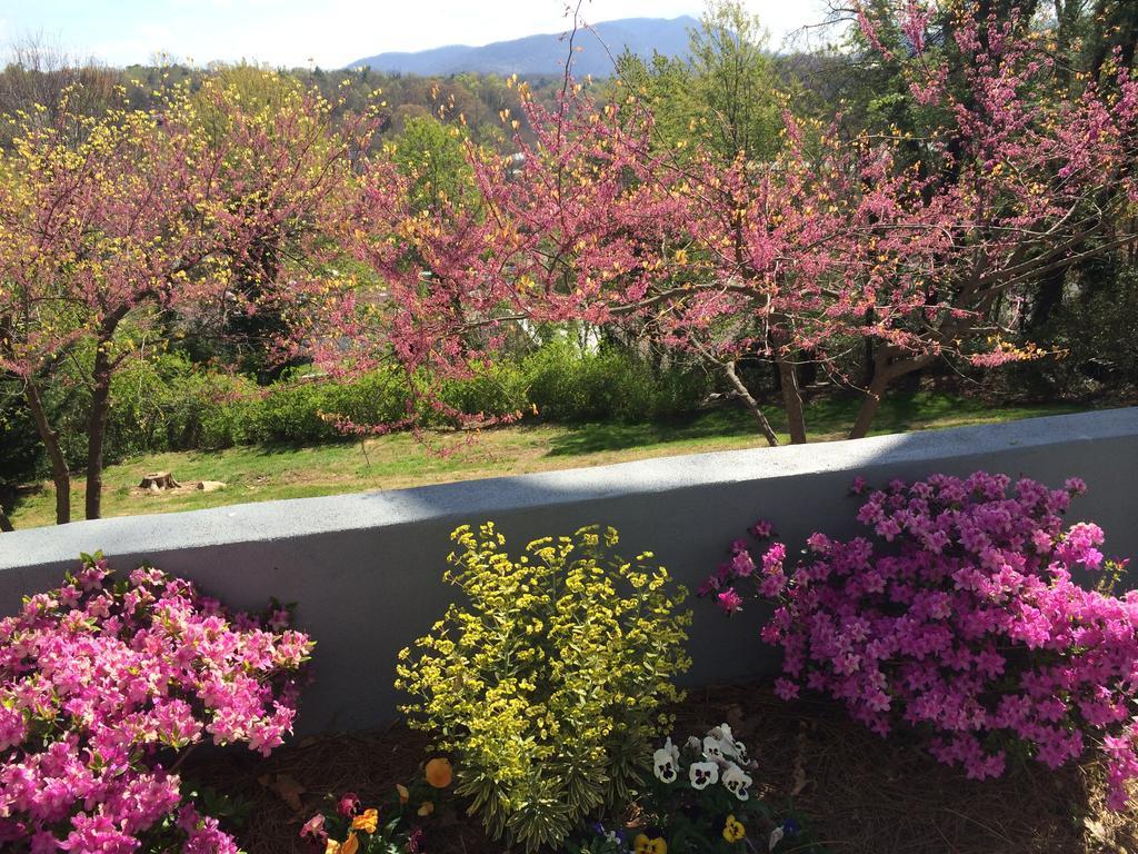 Biltmore Village Inn B&B Asheville Kültér fotó